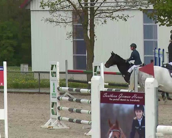 Reitturnier Rot am See- Musdorf 2021