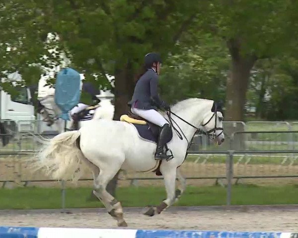 Reitturnier Rot am See- Musdorf 2021