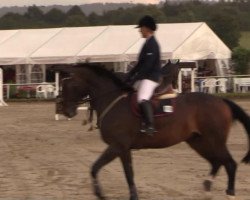 jumper Philty (Westphalian, 2003, from Potential)