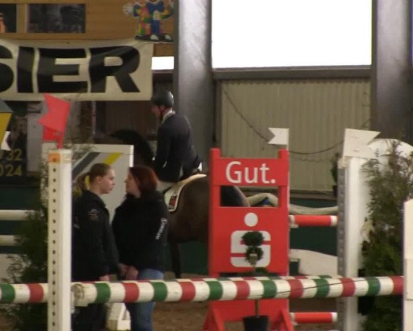 jumper Lex Lennart Rt (Westphalian, 2004, from Lenardo)