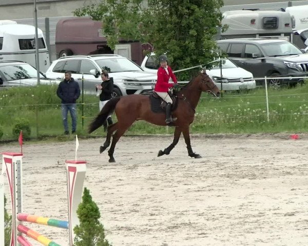 Reitturnier Basel Schänzli 2021
