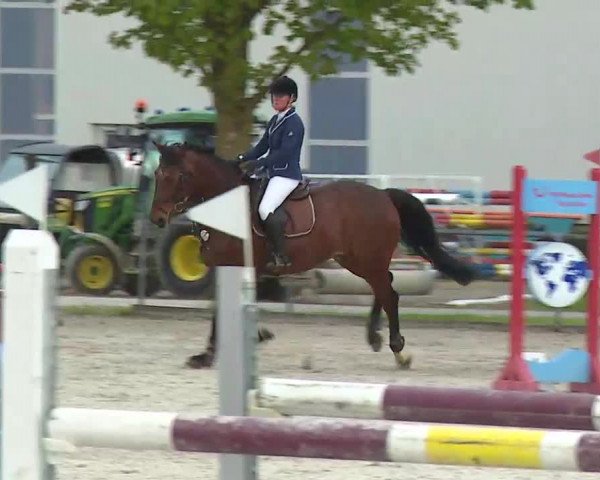 Reitturnier Rot am See- Musdorf 2021