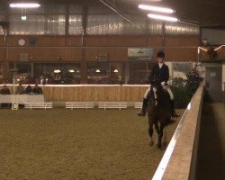 dressage horse Legolas 40 (Westphalian, 1999, from Lamoureux II)