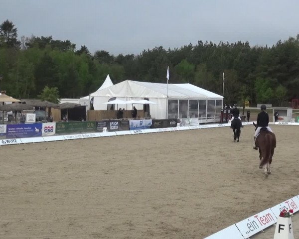 Reitturnier Rastede-Nethen 2021