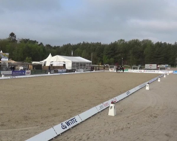 Reitturnier Rastede-Nethen 2021