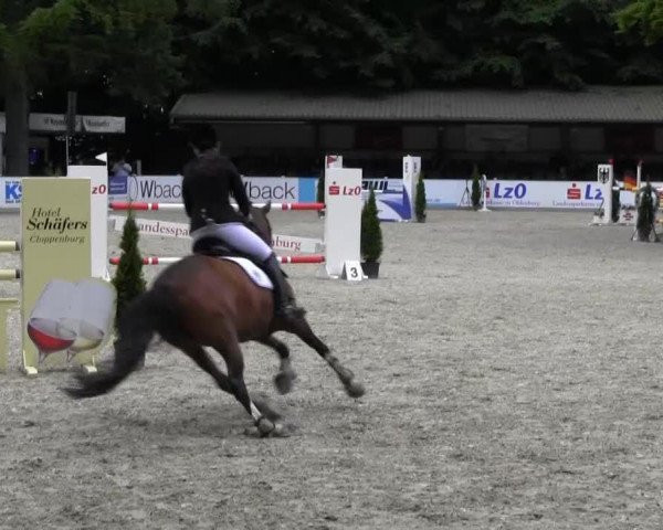 broodmare Sammy Delüxe (German Riding Pony, 2002, from Laudatio)