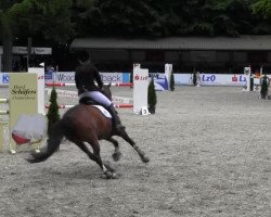 Zuchtstute Sammy Delüxe (Deutsches Reitpony, 2002, von Laudatio)