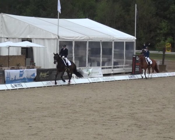 Reitturnier Rastede-Nethen 2021