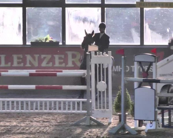 broodmare Alina (German Sport Horse, 2005, from Stakkato Gold)