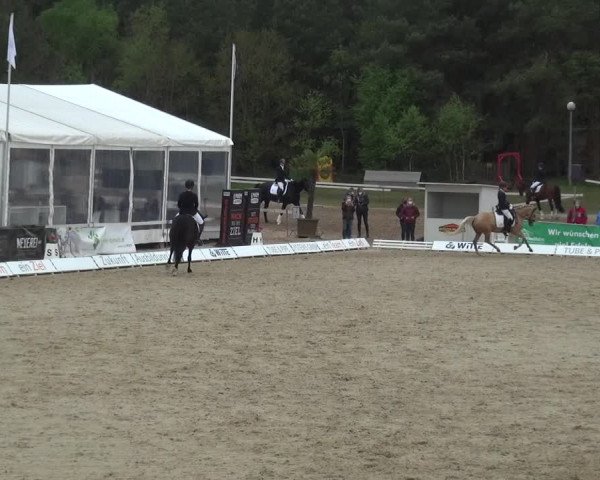 Reitturnier Rastede-Nethen 2021