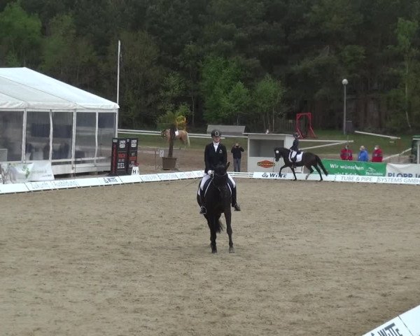 Reitturnier Rastede-Nethen 2021