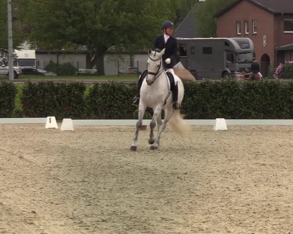 Reitturnier Elmshorn 2021