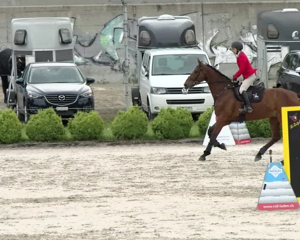 Reitturnier Basel Schänzli 2021