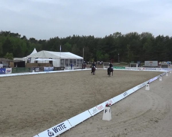Reitturnier Rastede-Nethen 2021