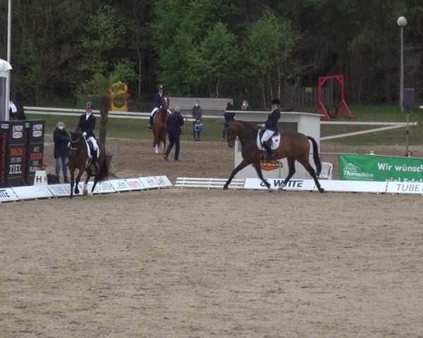 Reitturnier Rastede-Nethen 2021