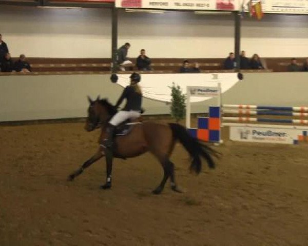 jumper Quitano 2 (Rhinelander, 2001, from Quincy Z) jumper Quitano 2 (Rhinelander, 2001, from Quincy Z)