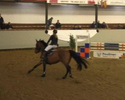 jumper Quitano 2 (Rhinelander, 2001, from Quincy Z)