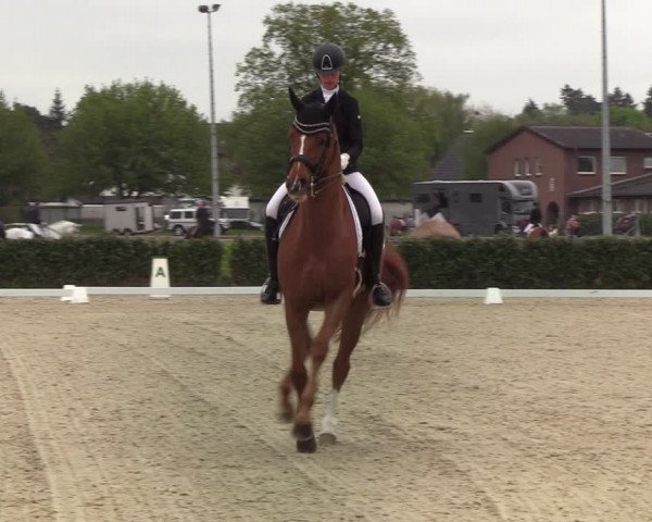 Reitturnier Elmshorn 2021