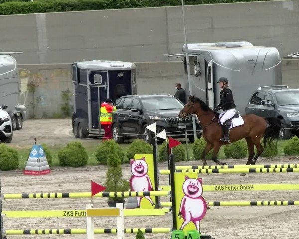 Reitturnier Basel Schänzli 2021