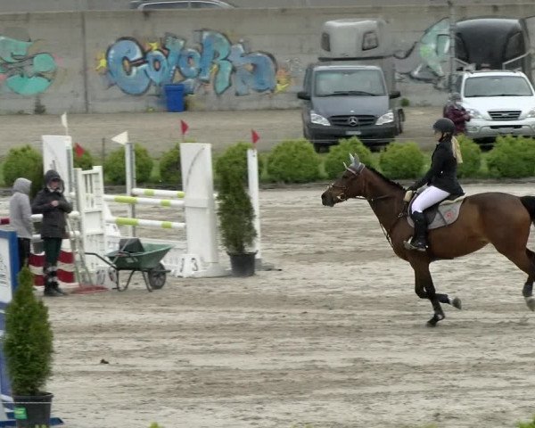 Reitturnier Basel Schänzli 2021