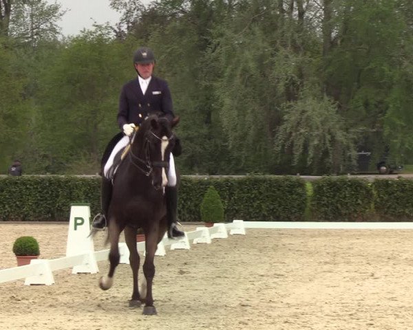 Reitturnier Elmshorn 2021