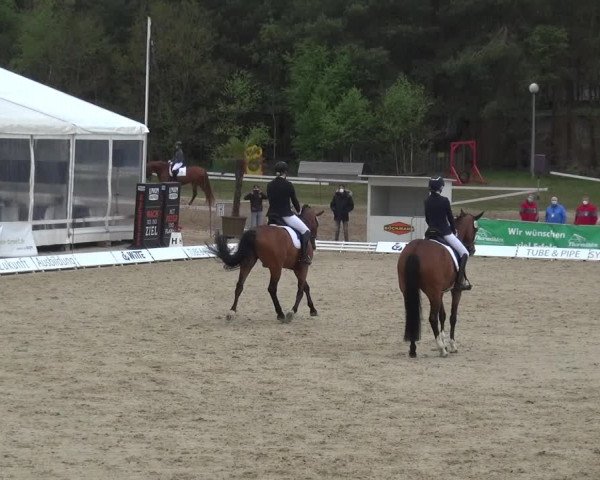 Reitturnier Rastede-Nethen 2021