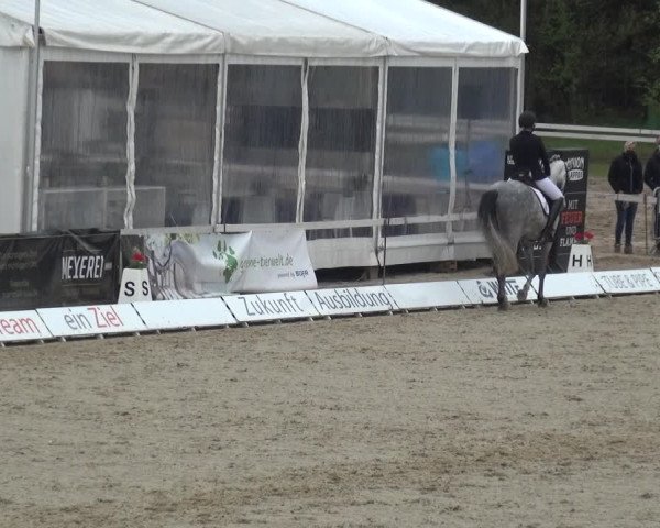 Reitturnier Rastede-Nethen 2021