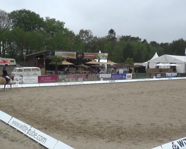 Reitturnier Rastede-Nethen 2021