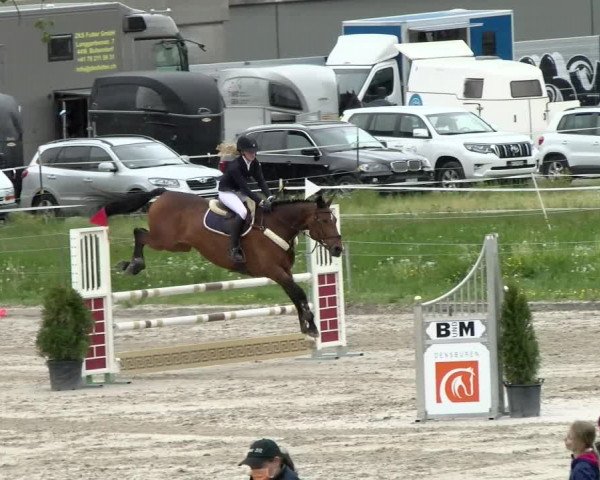 Reitturnier Basel Schänzli 2021