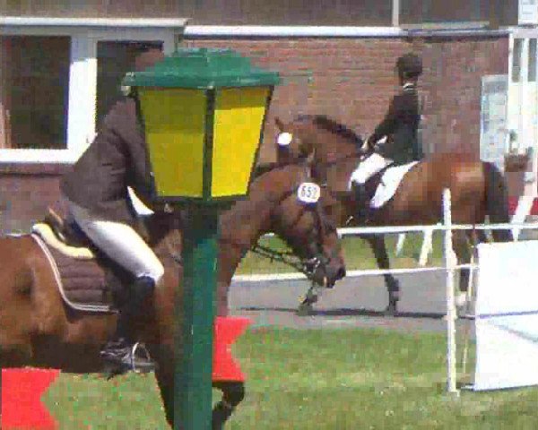 Springpferd Lance 17 (Holsteiner, 2002, von Lacantus)