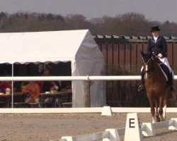 broodmare Riah (Hanoverian, 2005, from Rotspon)