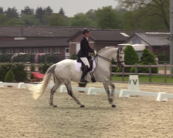 Reitturnier Elmshorn 2021