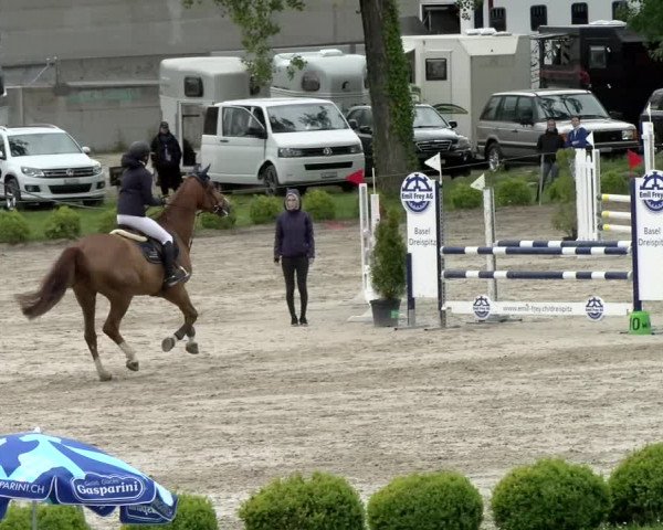 Reitturnier Basel Schänzli 2021