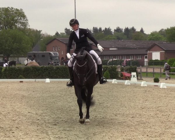 Reitturnier Elmshorn 2021