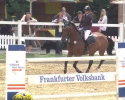 broodmare Fergie BS (Hanoverian, 2004, from Forsyth)