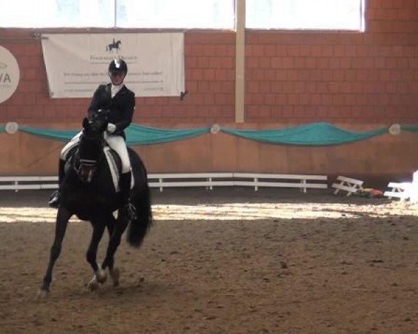 broodmare Hecate 2 (Hanoverian, 2003, from Hofrat)