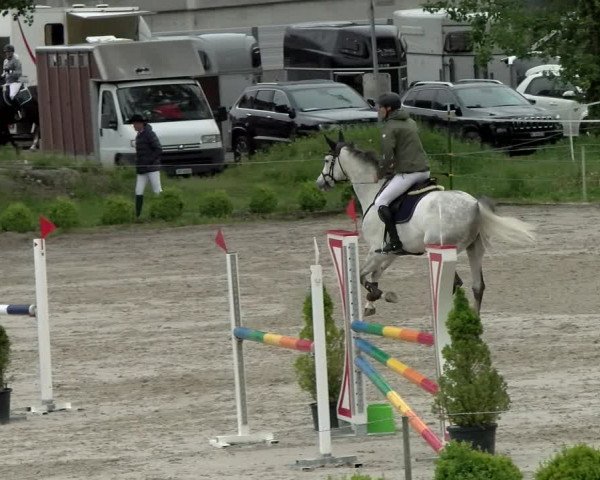 Reitturnier Basel Schänzli 2021