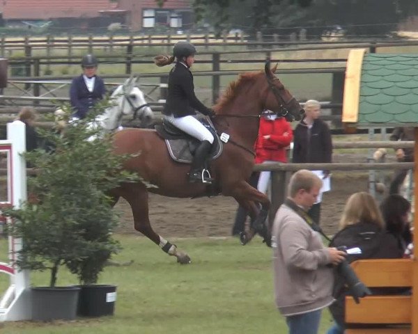 broodmare Laetitia (Hanoverian, 2003, from Londonderry)