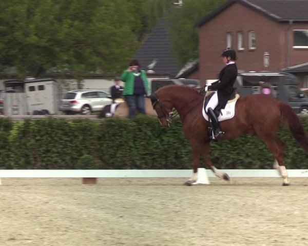 Reitturnier Elmshorn 2021
