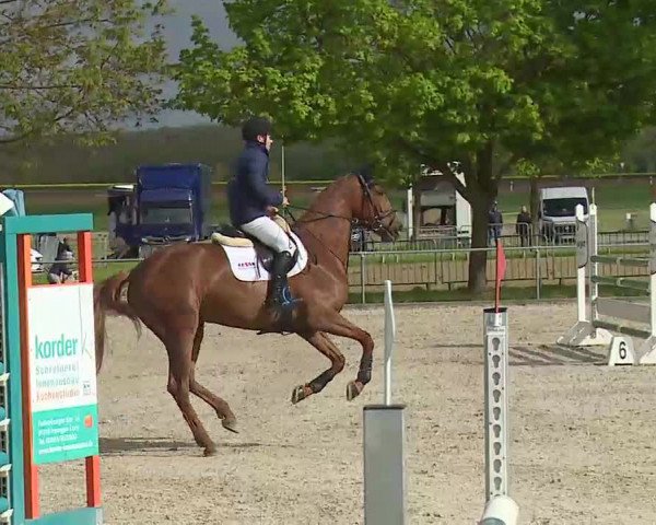 Reitturnier Rot am See- Musdorf 2021
