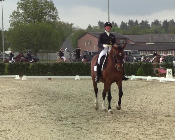 Reitturnier Elmshorn 2021