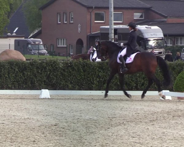 Reitturnier Elmshorn 2021