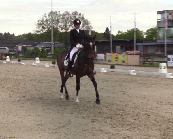 Reitturnier Elmshorn 2021