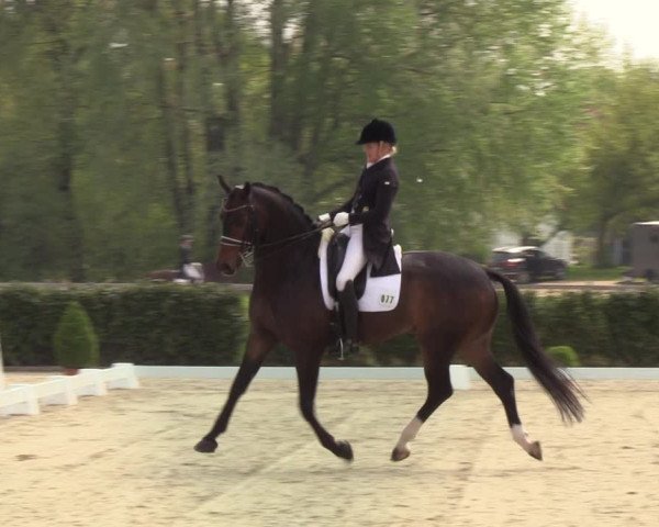Reitturnier Elmshorn 2021