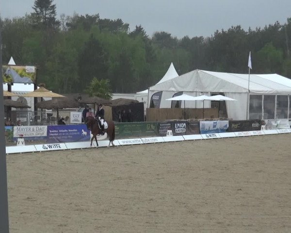 Reitturnier Rastede-Nethen 2021