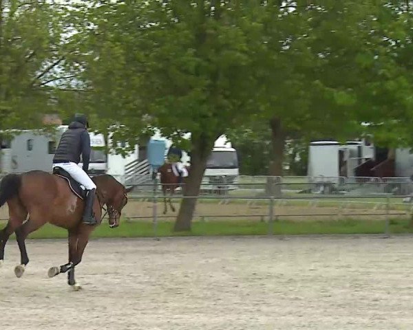 Reitturnier Rot am See- Musdorf 2021