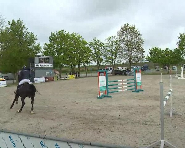 Reitturnier Rot am See- Musdorf 2021