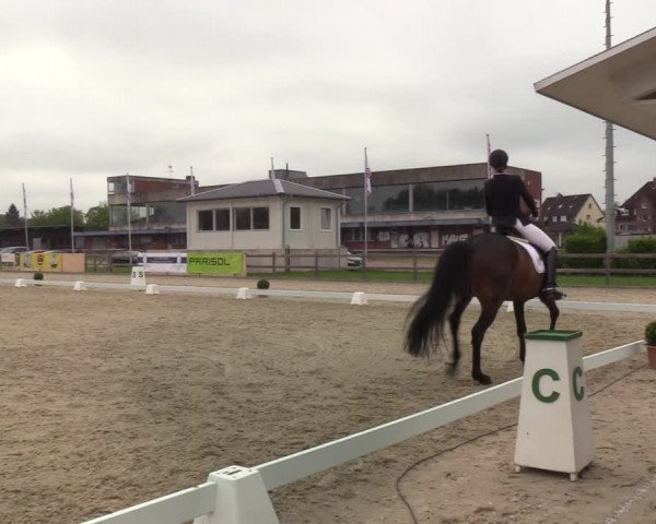 Reitturnier Elmshorn 2021