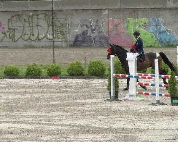 Reitturnier Basel Schänzli 2021