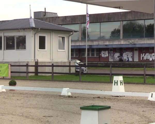 Reitturnier Elmshorn 2021